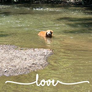 Meet your Posher, Melinda